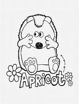 Apricot Timmy sketch template