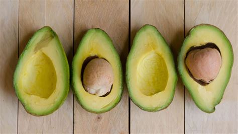 How To Grow Avocados Real Homes