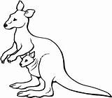 Kangaroo Cangur Planse Colorat Pui Canguro Colorear Canguri Animale Kangaroos Canguros Elephant Copilul Plansa Calut Joey Colorpage Educatie sketch template