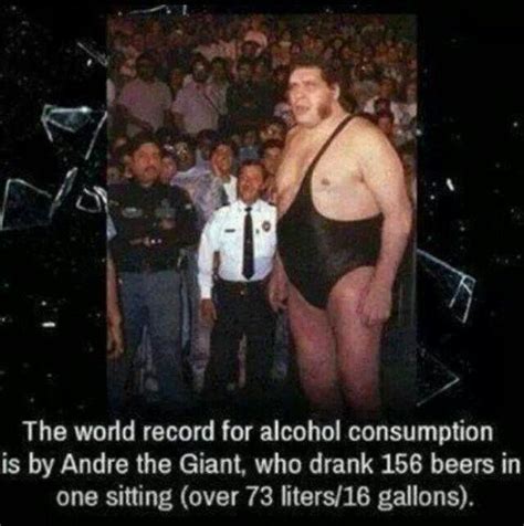 world record beer consumption andre  giant andre  giant world