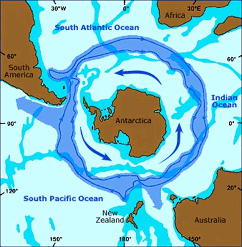 montclair state university  antarctica antarctic circumpolar current
