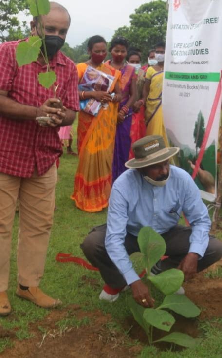 indias largest plantation program   single district launched  odisha  million trees