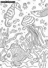 Meri Optimimmi Värityskuvia Sea Värityskuva Coloring Pages Ilmaisia Color Valitse Taulu Tulostettavia Ilmainen Täällä Quality  High sketch template