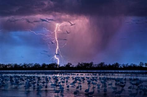 19 electrifying photos of epic storms