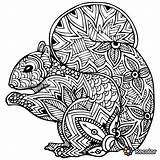 Zentangle Squirrel Mandalas Ardilla Mosaico Imprime Colorea Desestresarte Prometo Va Nena Afficher Corgi sketch template