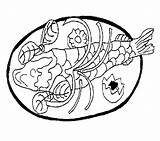 Seafood Fish Coloring Pages Kids sketch template