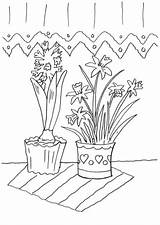 Hyazinthe Blumen Narzisse Jacintos Malvorlagen Ausmalen Malvorlage Narcisos Ausdrucken Sonnenblume Topf sketch template
