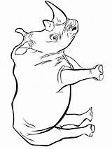 Coloring Rhino Pages Kids Fun Animal Printable Animals sketch template