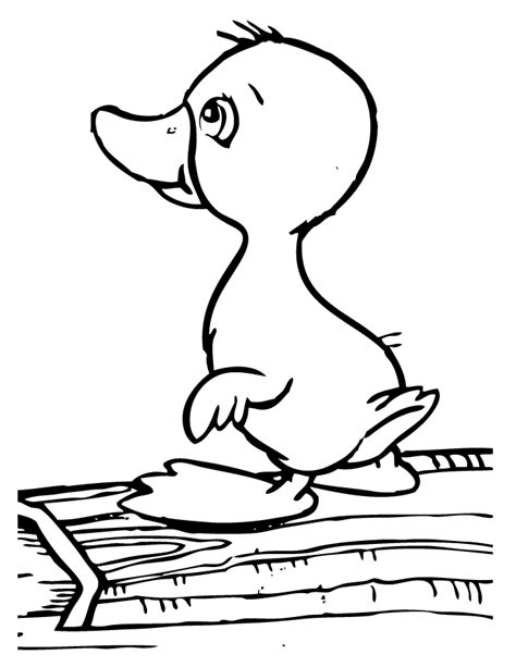 baby duck coloring pages coloring home