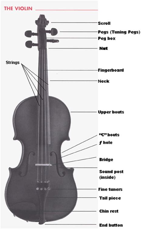 costlystructure  violin