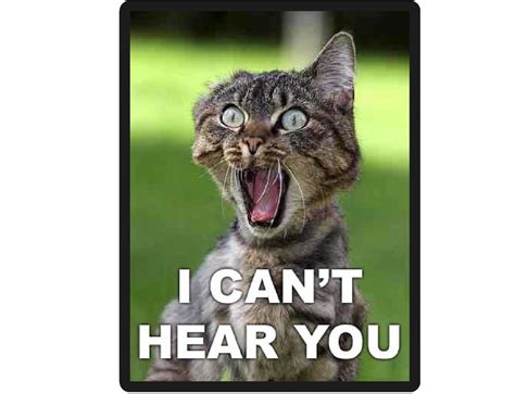 Funny Cat I Can T Hear You Refrigerator File Cabinet Magnet Ebay