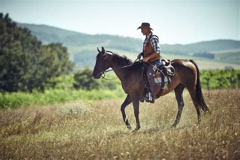 health benefits  riding  horse dr heben