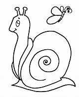 Coloring Easy Pages Snail Kids sketch template