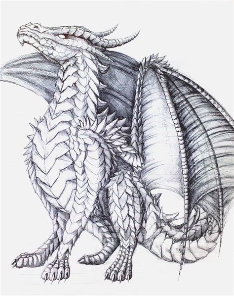 dragons  color images  pinterest coloring books