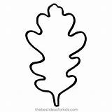 Leaf Oak Template Leaves Fall Outline Drawing Printable Autumn Coloring Stencil Simple Clip Kids Maple Templates Patterns Pages Paper Thebestideasforkids sketch template
