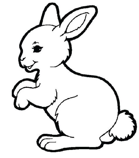cute baby bunny coloring pages bunny coloring pages rabbit colors