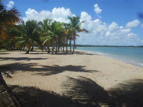 coco beach beach outdoor water