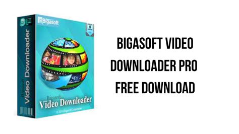bigasoft video downloader pro    software