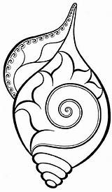 Mandala Shells Zentangle sketch template