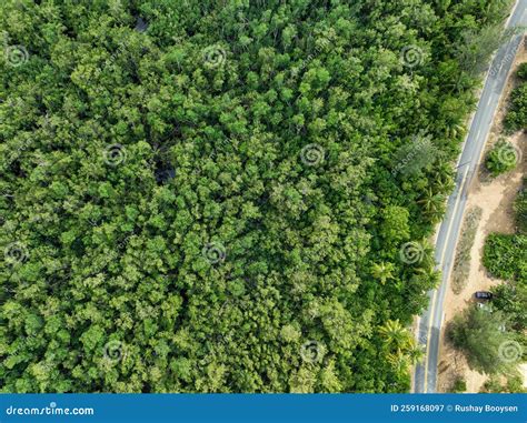 aerial view  road   drone stock image image  tropical scenery