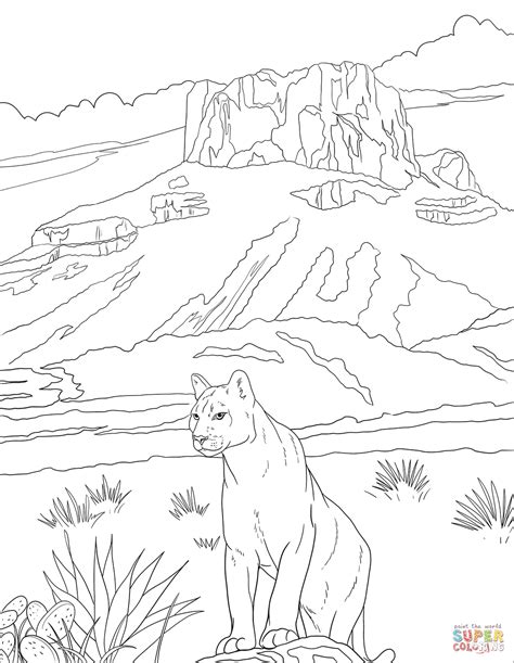 mountain lion coloring page mountain lion coloring pages kidsuki