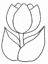 Tulipa Molde Flor Desenho Desenhar sketch template