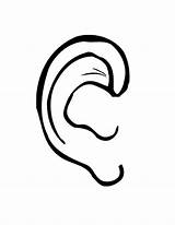 Ears Coloring Clipart Pages Body Parts Ear Colouring Popular Library sketch template