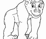 Coloring Gorilla Pages Mountain Silverback Bored Baby Getcolorings Getdrawings Colorings sketch template