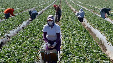Activists Demand A Bill Of Rights For California Farm Workers The