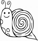 Coloring Snail Nevada Sierra Clipart Template 21kb 777px Library Popular Insect sketch template