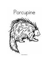 Porcupine Coloring Template Change sketch template