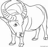 Coloringpages101 Animal Coloringall Bison Buffalos sketch template