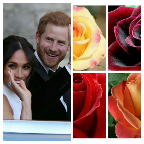 The New Duke And Dushess Of Sussex 💙💖 Beautiful Fictional Characters
