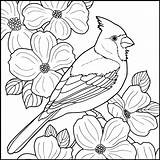 Coloring Cardinal Bird Pages Winter Drawing Printable Colouring Birds Patterns Cardinals Books Wood Red Crafts Nature Snowmen Wooden Diy Drawings sketch template