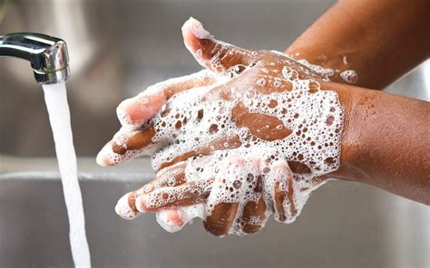 hand soap  home cooks taste  home