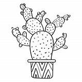 Cactus Outline Pot Silhouette Multiple Flat Coloring Svg Drawing Drawings Transparent Pages Set Vexels Cute Cacti Pots Getdrawings Outlines Vector sketch template