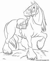 Coloring Horse Breyer Pages Printable Print Color sketch template