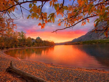 autumn red lake sunrise trees river colors fall beach branches