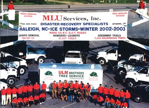 story mlu services