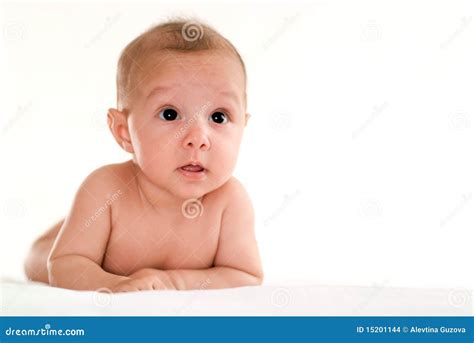 newborn baby   white stock photo image  background