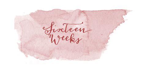 weeks pregnant pregnancy week  week