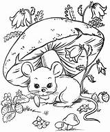 Coloring Pages Forest Animal sketch template