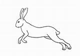 Hare Draw Step Easy Part Leg Rear Easyanimals2draw sketch template