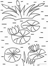 Lily Pad Coloring Pages Water Printable Kids Monet Clipart Template Flower Drawing Cool2bkids Lilies Print Pads Lilly Colouring Clip Sheets sketch template