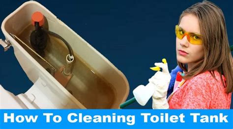 cleaning toilet tank easy cleaning hacks  blog  home