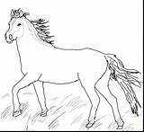 Horse Coloring Pages Mustang Appaloosa Printable Pony Wild Horses Pretty Quarter Herd Cute Color Getcolorings Print Paint Getdrawings Sheets Colorings sketch template