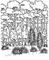 Forest Coloring Pages Trees Arbor Keep Industrial Green Color Printable Template Getcolorings sketch template
