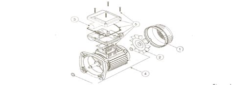 pentair pump motor parts