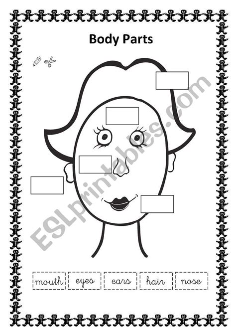 english worksheets parts  face