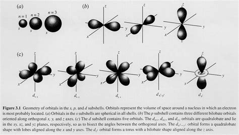 electrons move   nucleus   move  orbitals